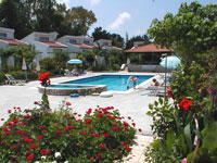 the complex swimming pool